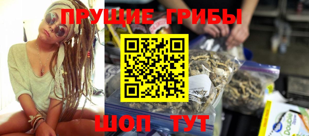 Кинель  Галлюциногенные грибы GOLDEN TEACHER  Вход с VPN  Псилоцибиновые грибы Cubensis 